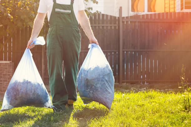 Shed Removal in Swartzville, PA